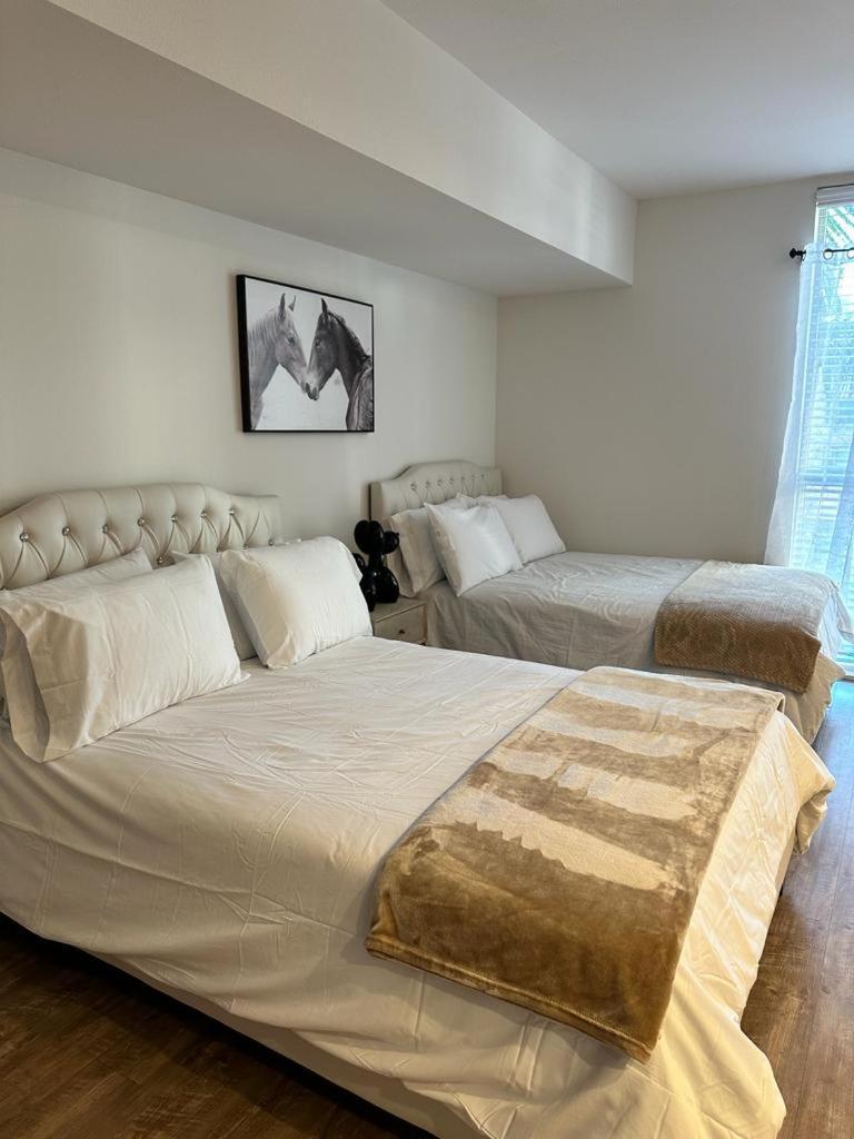 Studios Universal 10 Min Drive Free Parking And Wifi 洛杉矶 外观 照片